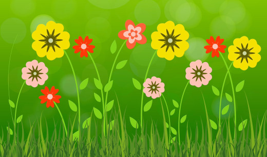 1150625 (a): :2500x1469